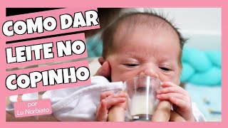 COMO DAR LEITE NO COPINHO PARA O BEBÊ