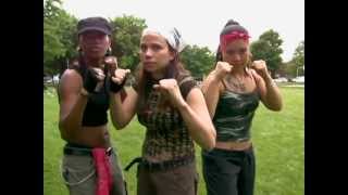 Little Phoenix and the Reign of Fists