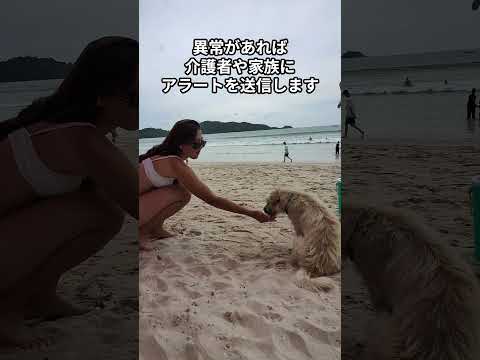 AI が高齢者医療にどのように役立つか