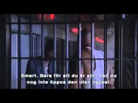 download lagu mp3 mp4 Half Past Dead, download mp3 Half Past Dead free downloadn, video klip Half Past Dead