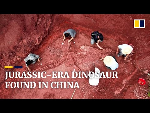 180-million-year-old nearly intact dinosaur fossil unearthed in China