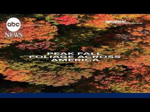 Peak fall foliage across America in 2026