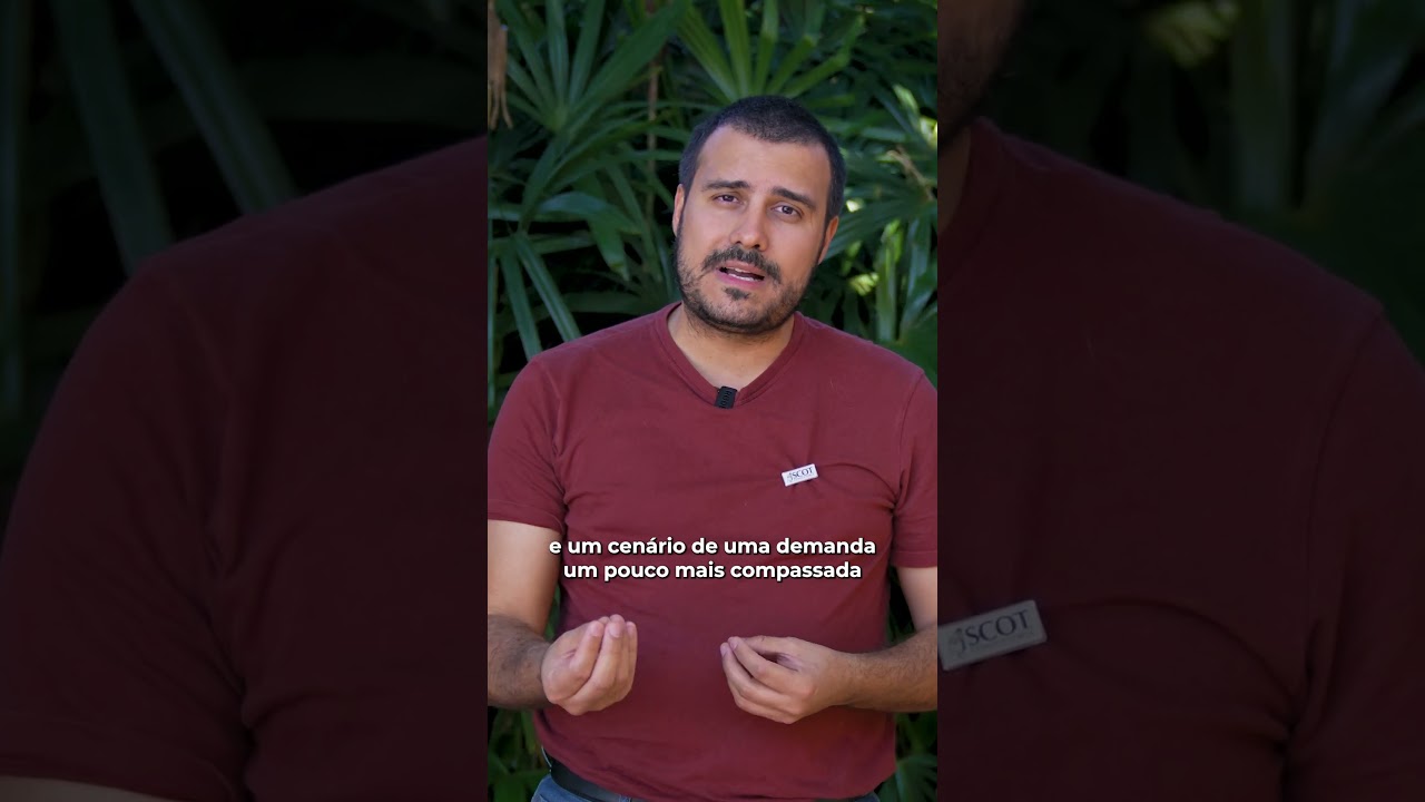 Expectativas para últimos 10 dias de junho no mercado do boi gordo