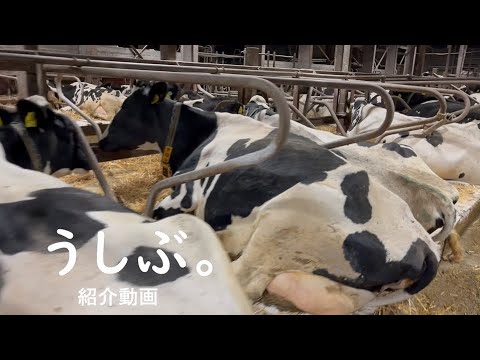帯広畜産大学 うしぶ。 活動紹介（2022）