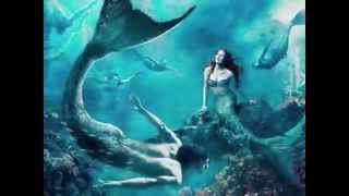 Catherine Wheel - Fripp