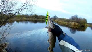 Salmo poland floating воблер