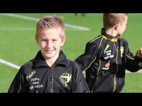 Vsco 61   blauw geel