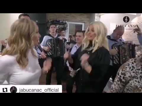 Jelena gerbec hajde da se volimo