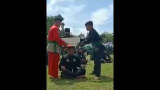 Download lagu story' WA atraksi pagar Nusa 💚🔱 mp3