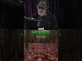 Magic Mushrooms and Spiritual Insights: Joe Rogan & Paul Stamets
