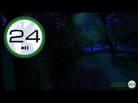 SONIDO de GRILLOS y BÚHOS 🐜🦉🌙 de Noche para Dormir Profundamente. Sonidos de la Naturaleza en Bosque