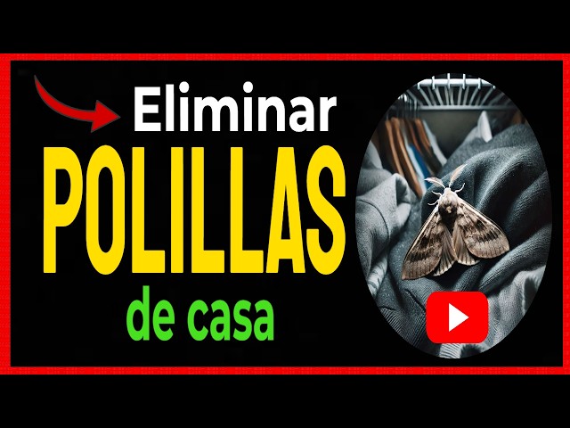 Vídeo relacionado con PIC Trampa para polillas de la Ropa - Remedio contra Las polillas de la Ropa, Adecuado para la protección de Toda la Ropa en el Armario