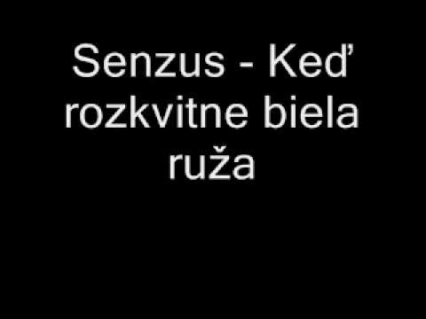 Senzus - Keď rozkvitne biela ruža