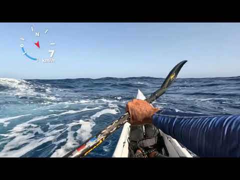 Test Carbonology Vault