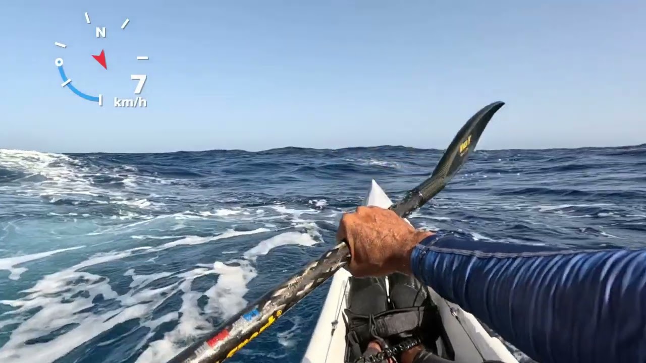 Test Carbonology Vault