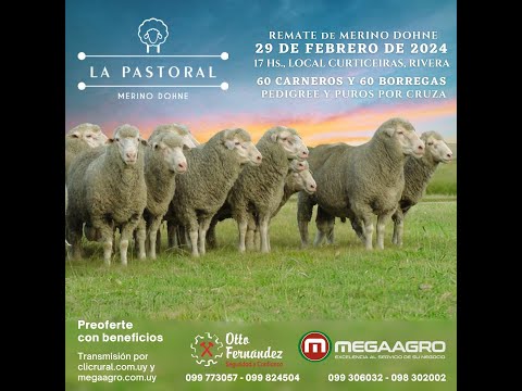 29/02/2024  MegaAgro, Otto Fernandez - Local Curticeiras - Rivera