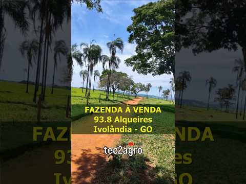 🌱 93.8 ALQUEIRES IVOLÂNDIA - GO #fazenda #tec2agro #agro