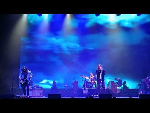 The Magical Mystery Doors playing The Doors "Riders on the Storm"