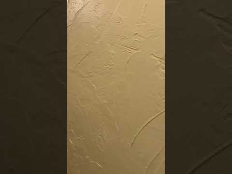 1st floor apt for rent in Brockton