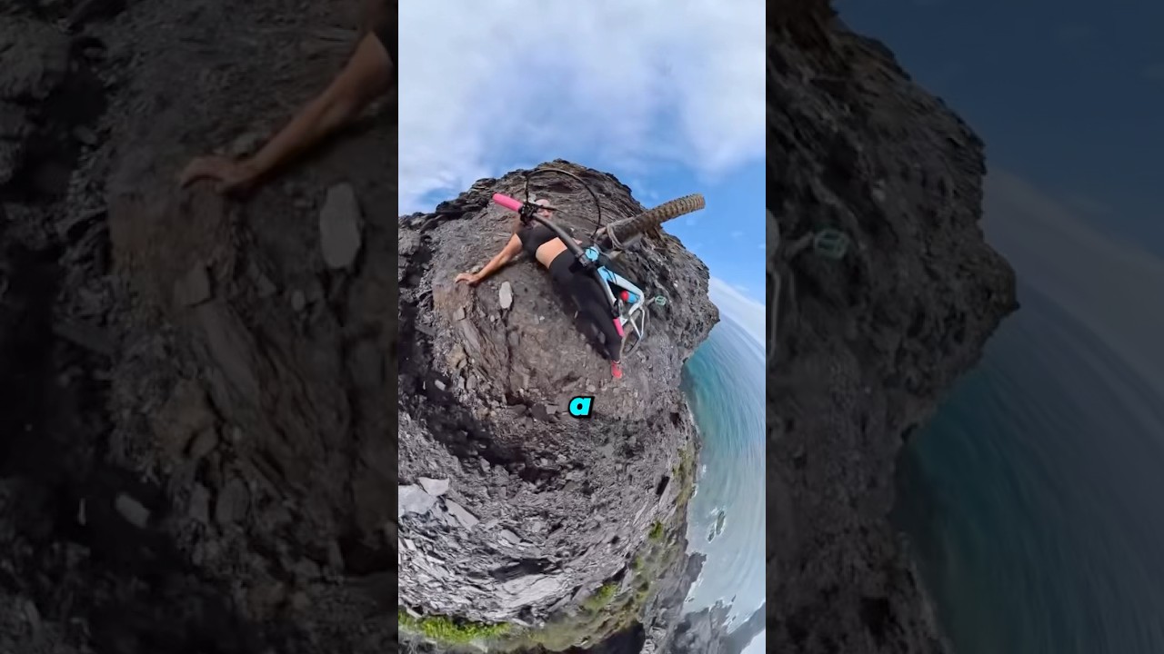 Dog Was Just Watching Too😂