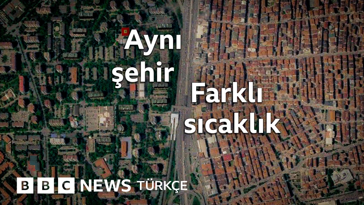 Yaşadığınız mahalle aşırı sıcaklardan nasıl etkileniyor?