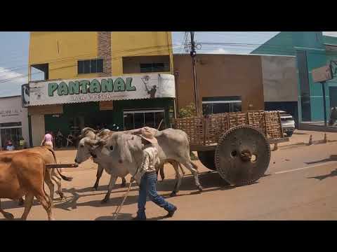 Tradição em São Félix do xingu cavalgada 