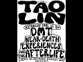 Tao Lin on DMT, Near-Death Experiences and the Afterlife. Saturday June 1st, 7:00PM