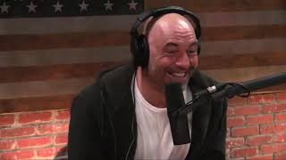 Mike Tyson tells Joe Rogan funny story about how he got tigers