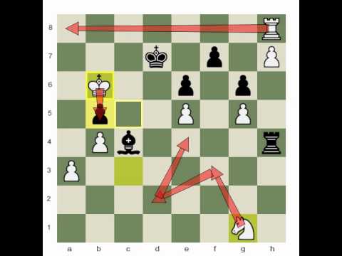 The Principle of Two Weaknesses 3   Chess Videos   Chesscom