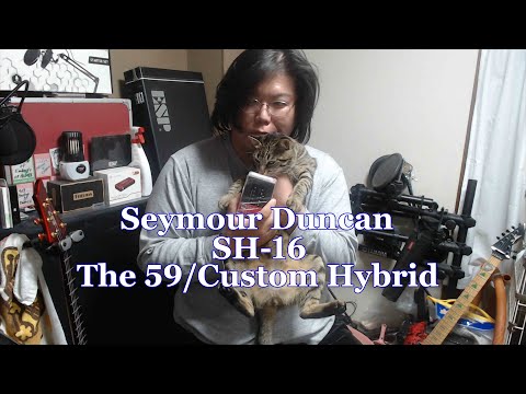 【機材紹介】SH‐16 The 59/Custom Hybrid【Seymour Duncan】