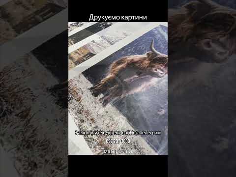 Студія професійного друку OLDORCS, відео 57