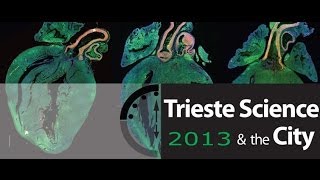 OGM tra mito e realtà