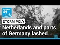 Storm Poly Tore Down Trees And Upended Vehicles In The Amsterdam Region FRANCE 24 English