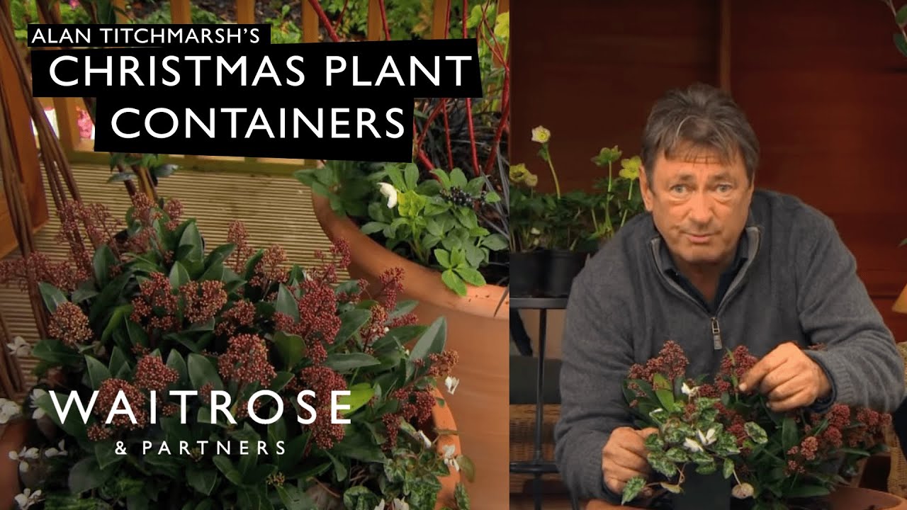 Alan Titchmarsh's Christmas Plant Containers | Waitrose - YouTube