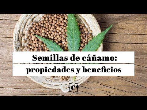 Semillas de cáñamo: propiedades, beneficios y valor nutricional