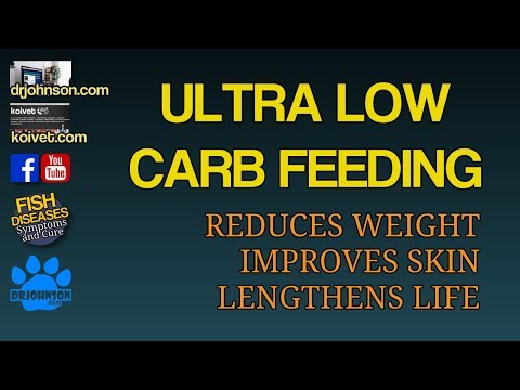 Ultra Low Carb Feeding 2018 - Like Raw Diet for Dogs and Cats for Skin and Weight