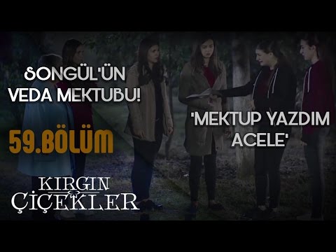 Songül’ün veda mektubu! - Mektup - Apolas Lermi - Kırgın Çiçekler 59.Bölüm Klip