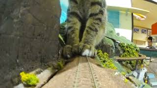 少し揺れる列車の旅〜Slightly swaying train journey
