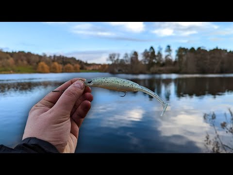 Lure fishing on a Lake for Pike 🎣🐊