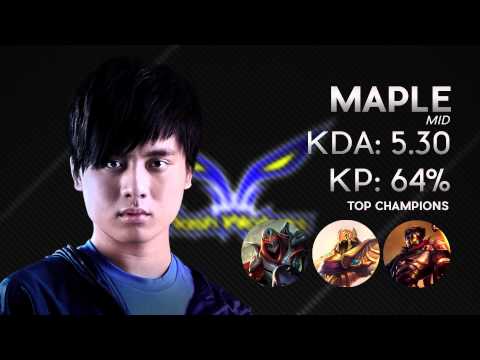 Flash Wolves Summary