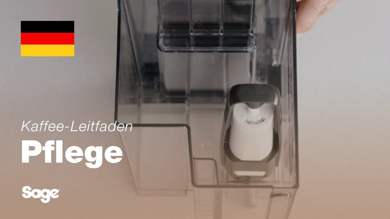 Durchführen eines Reinigungszyklus