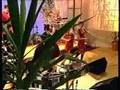 Soca Rebels Live On Bingolotto TV4 Sweden 1998 Soca Music Video