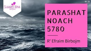 Parashá Noach 5780/ 2019