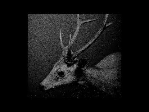 [FREE] JID X SCHOOLBOY Q TYPE BEAT | "INTO THE NIGHT"