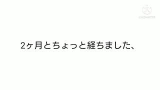 お久し振りでございます
