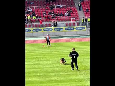 V6 Ibor vom Hühnegrab - BSZS 2022 Nurnberg- TSB - Bitework- Ibor