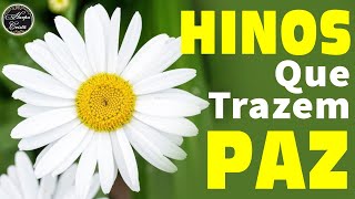 Louvores da Harpa Cristã - Hinos Que Trazem Paz no Lar - Hinos Evangélicos 2023