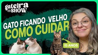 Lidando com Gatos IDOSOS | Gateira Live Show #026