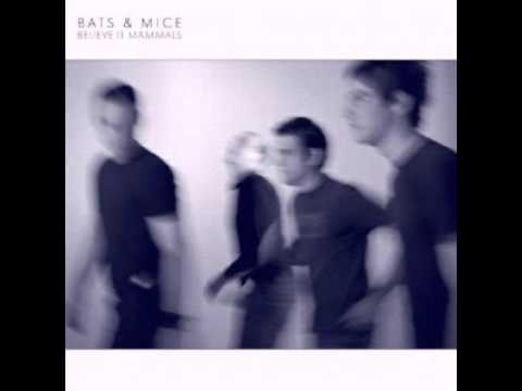 Bats & Mice - Motel