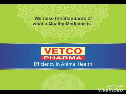 Vetco Detaling Folder